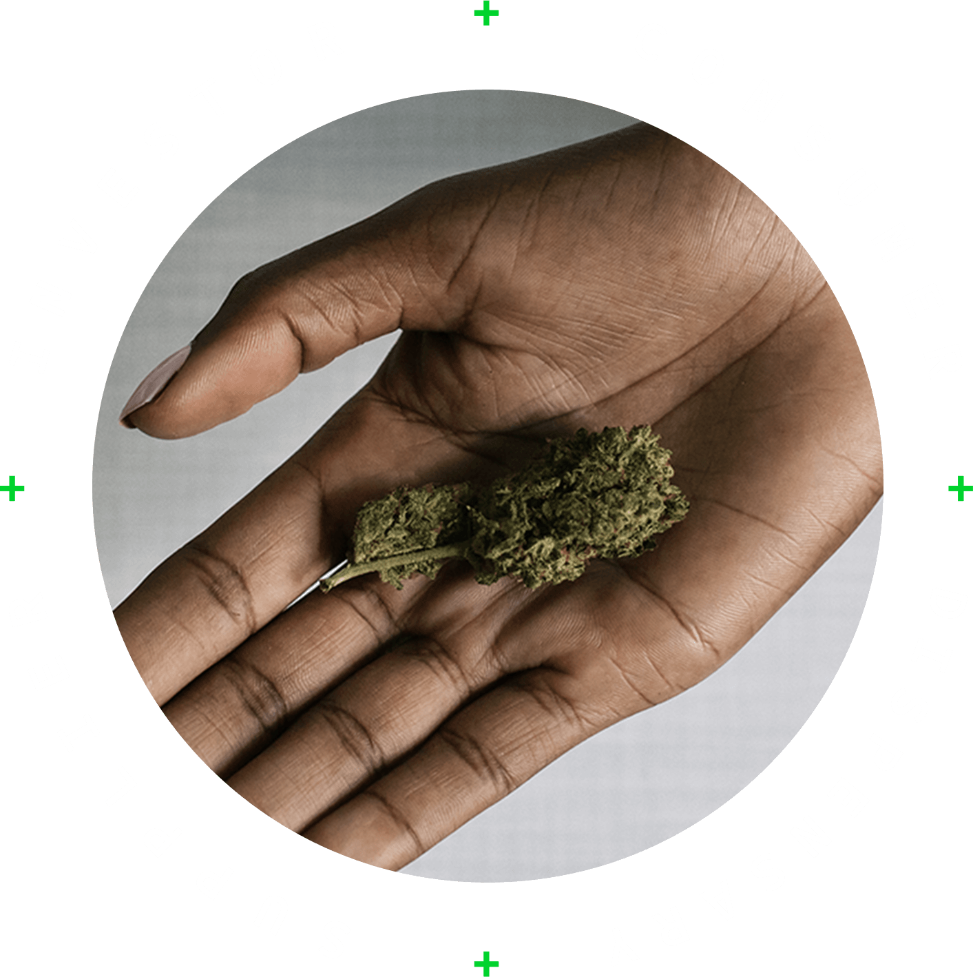 LeafCoin - A safer purchasing experience for all